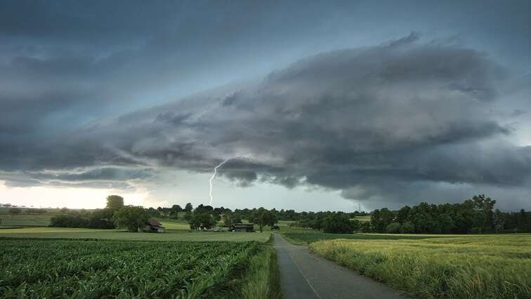 Recent rainfall in WC will protect farmers in dry season: Agri SA