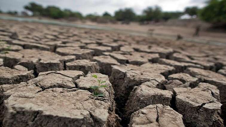 KZN small-scale farmers decry the effects of drought