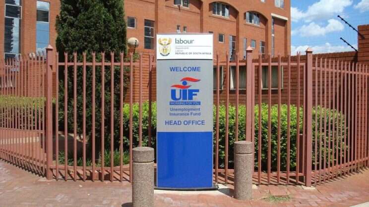 UIF online portal suspended for risk mitigation