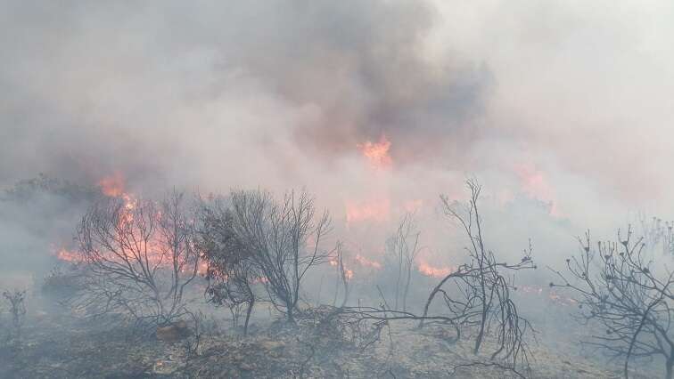 Three people killed in Garden Route National Park chalet fire