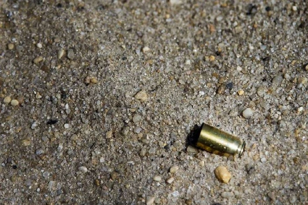 Wanted murder suspect shot dead by police in Soweto operation