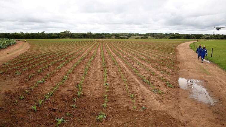 Limpopo farming community still awaits funding promised in 2017