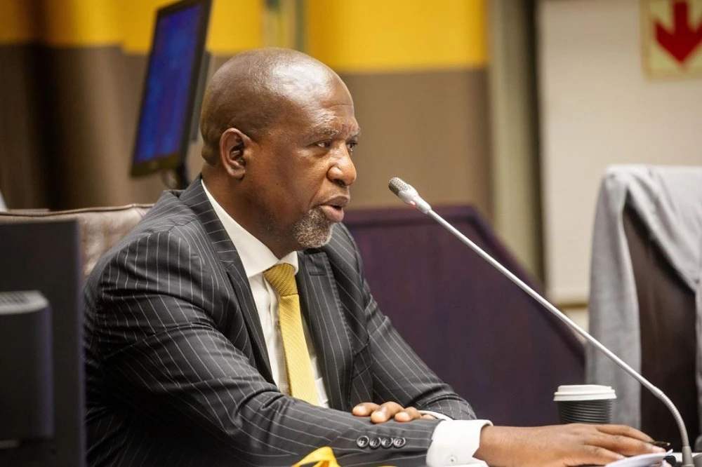 Ad Hoc Committee on Mkhwanazi allegations gets November deadline