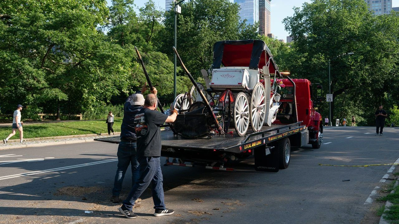 Bryczka rozbiła się w Central Parku. Zginął 18-latek