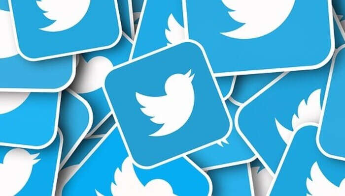 Anche scienziati tra utenti che potrebbero lasciare Twitter