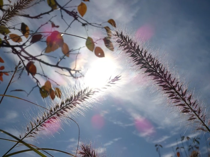 Ottobre mese più caldo dal 1800 nel Nord Italia, +3.18°C