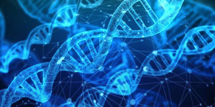 Nel Dna oscuro si cercano le varianti che causano malattie