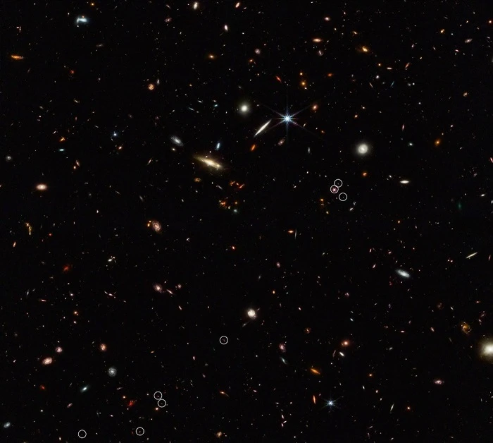 Il telescopio Webb trova i primi fili della ragnatela cosmica