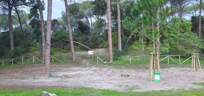 Divieti per tutelare le dune su spiaggia Maria Pia ad Alghero