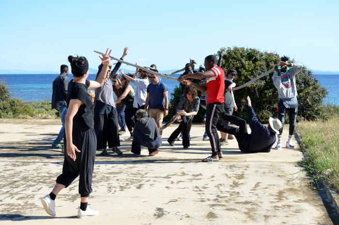 Migrazione, arte e biodiversità si intrecciano all'Asinara