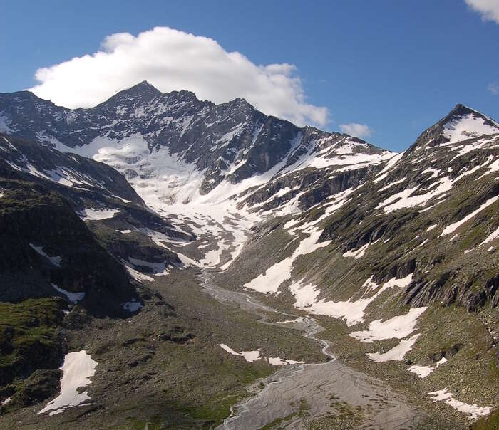 Melting of Alpine glaciers threatens biodiversity