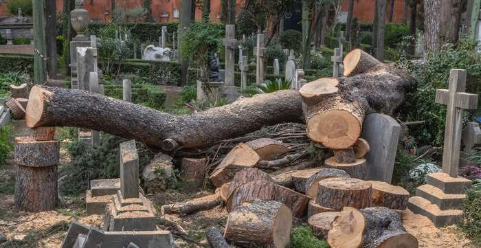 Cade pino monumentale, chiuso il cimitero dove è sepolto Gramsci