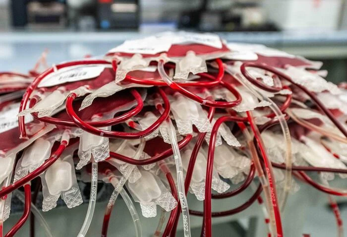 Giornata donazione sangue, Croce Rossa' è gesto d'amore'