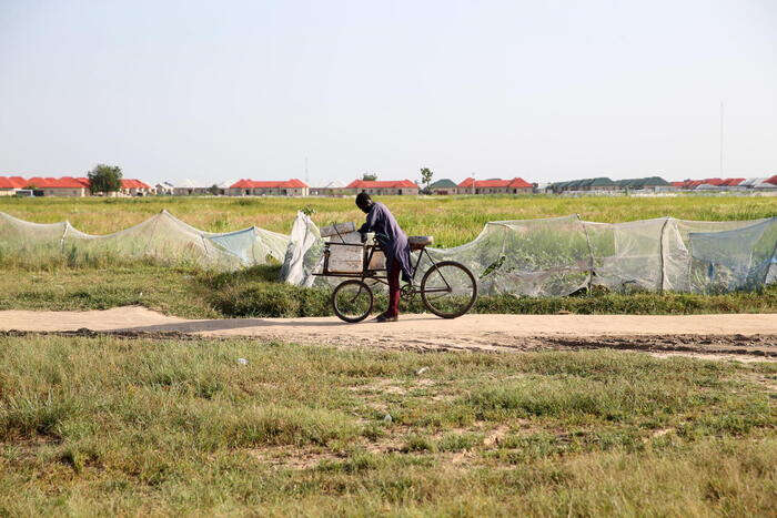 Almeno 40 agricoltori uccisi da jihadisti in Nigeria