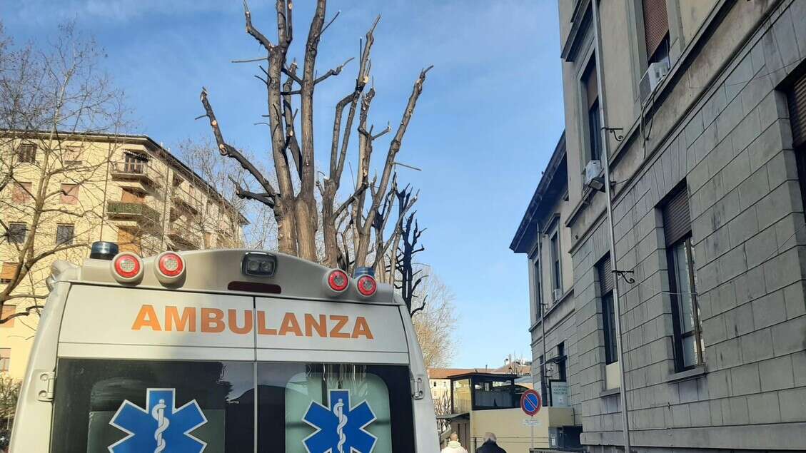 Scontro tra auto e camion, morti 2 ragazzi, altri 2 feriti