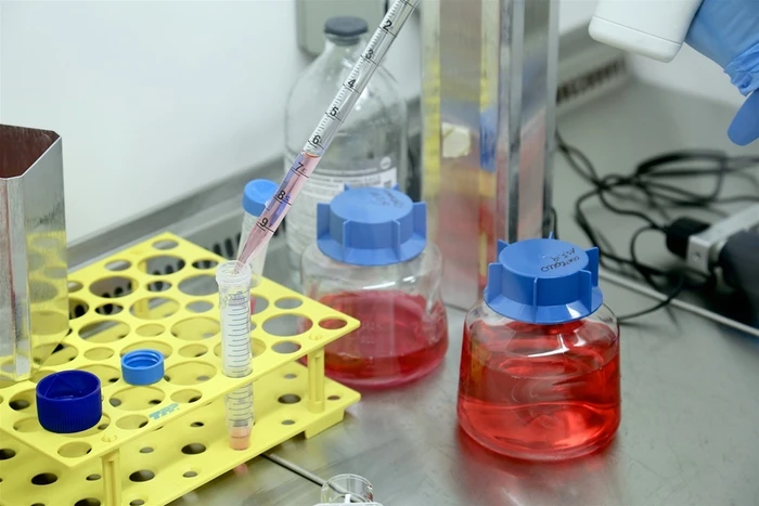 Prima prova danno da plastiche su uomo, rischi cuore doppi
