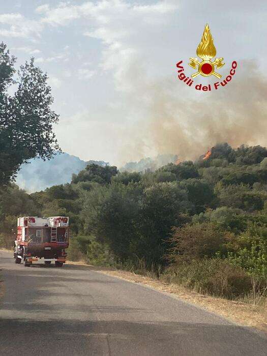 Incendio nel Nuorese, si procede alla conta dei danni