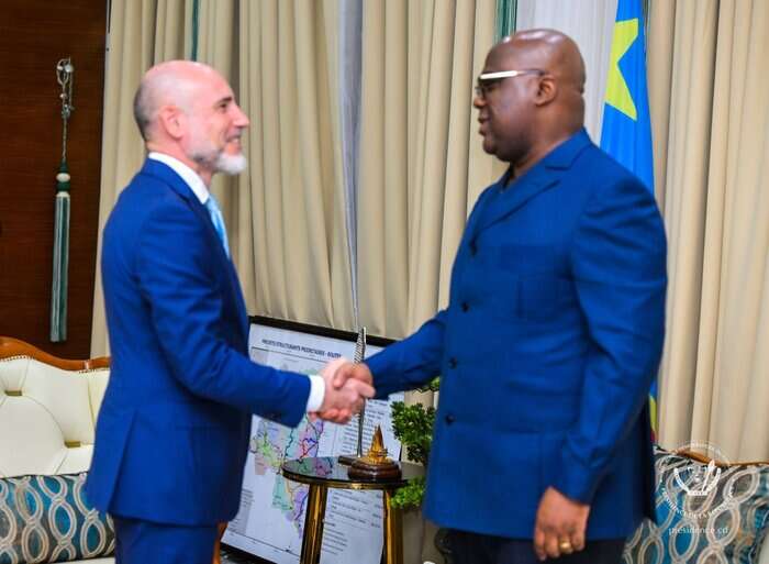 Amb Petrangeli a Kinshasa ricevuto dal presidente Tshisekedi