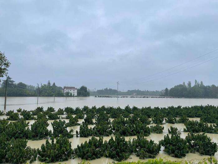 Alluvione, ripresa la circolazione dei treni Ferrara-Ravenna