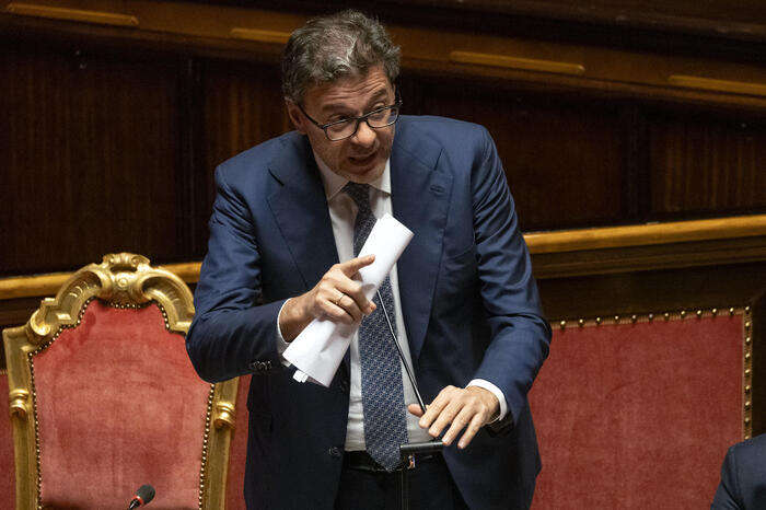 Giorgetti, trattamento 'migliore' su spese per i figli