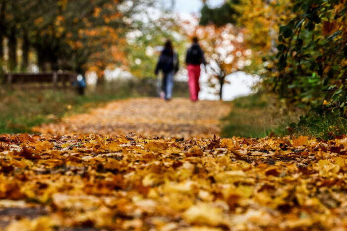 Più Autunno che Inverno, il 2025 inizia con un meteo bizzarro