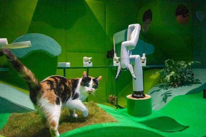 Ecco i robot amici dei gatti, giocano e se ne prendono cura