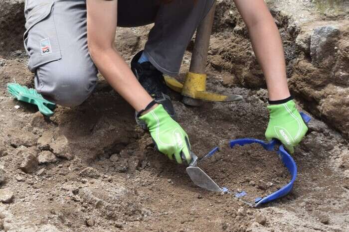 Pompei 'open', quarto workshop con esperti aperto al pubblico