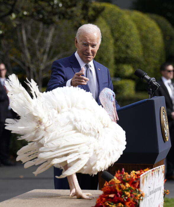 Biden grazia i tacchini Peach e Blossom per il Thanksgiving