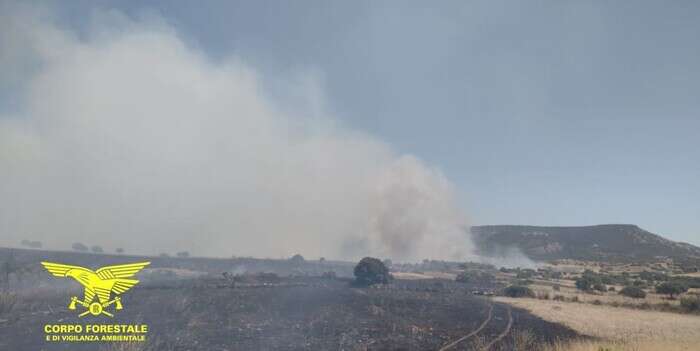 Incendio minaccia altopiano Sardegna, 4 Canadair in azione