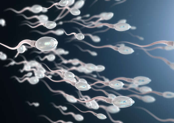 Fertilità, un aiuto dai farmaci per perdere peso