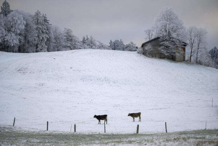 In Friuli si scia con la neve conservata