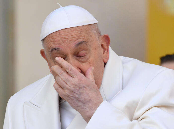 Il Papa in udienza, 