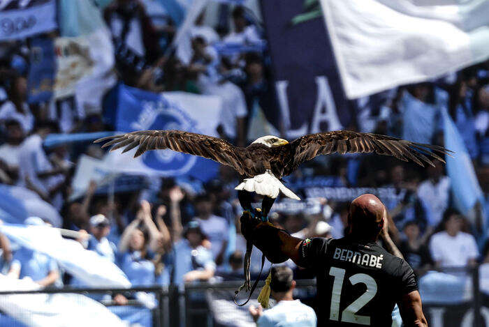 Dal Guardian a Marca, ex falconiere della Lazio fa giro d'Europa