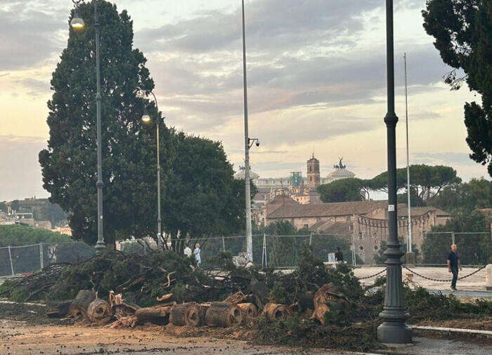 Indagine su alberi caduti a Roma, in 23 rischiano processo