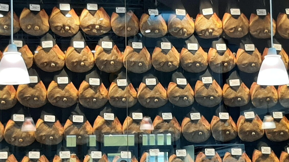 Convenzione Cciaa Verona e Università per sicurezza alimentare