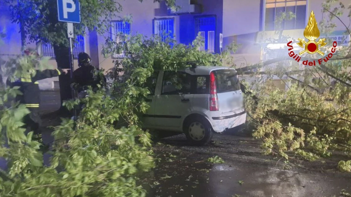 Maltempo, 100 interventi Vigili fuoco per alberi caduti in Fvg