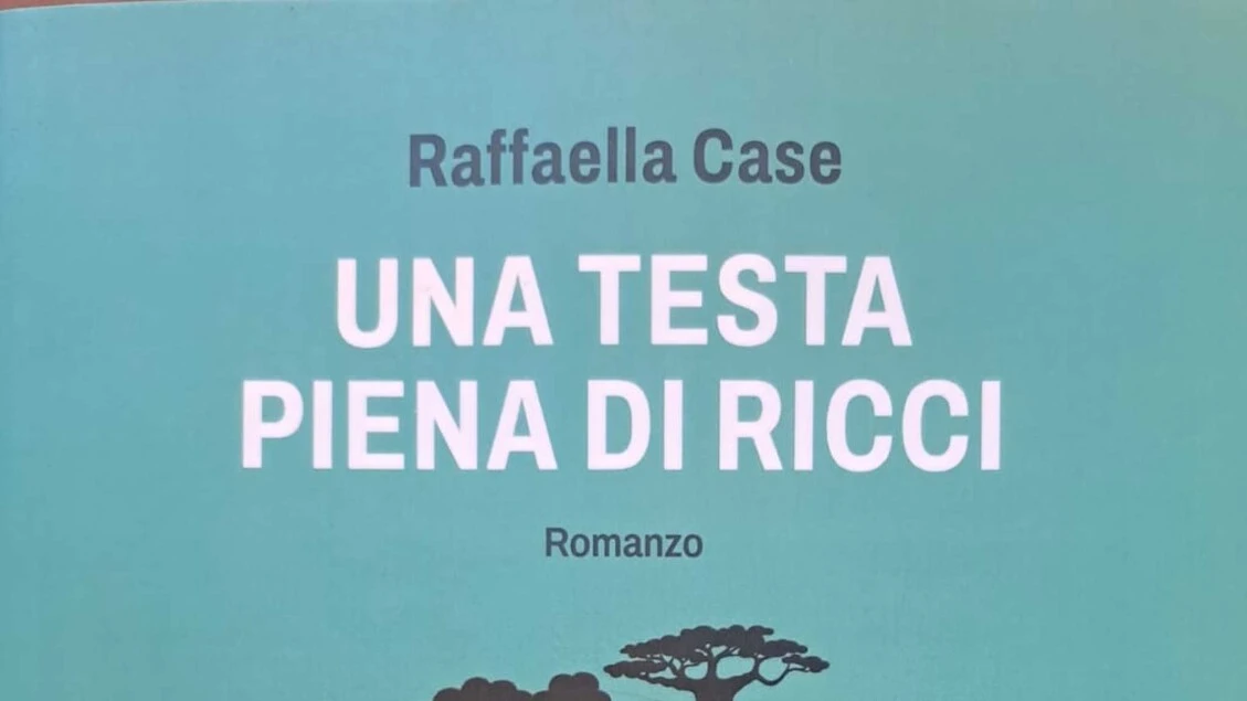 Una testa piena di ricci, Zhenga in viaggio alla scoperta di se'