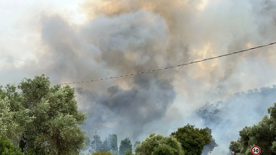 Incendi Sardegna, evacuata casa e agrumeti in fumo a Villacidro