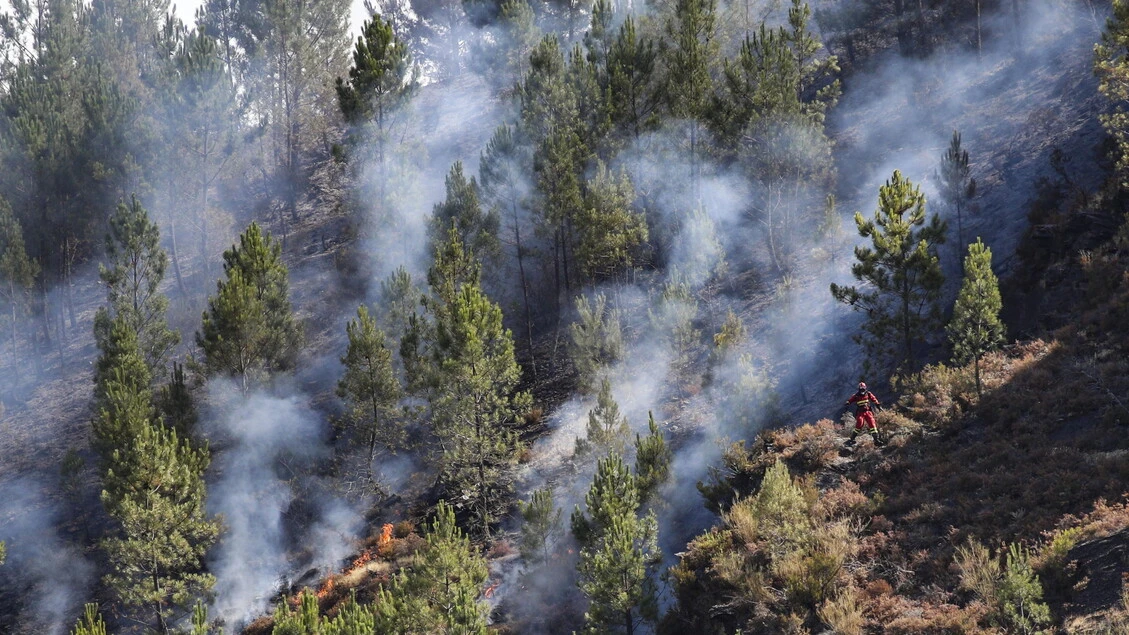 Roghi in Spagna, emissioni record carbonio, fumo in Scandinavia