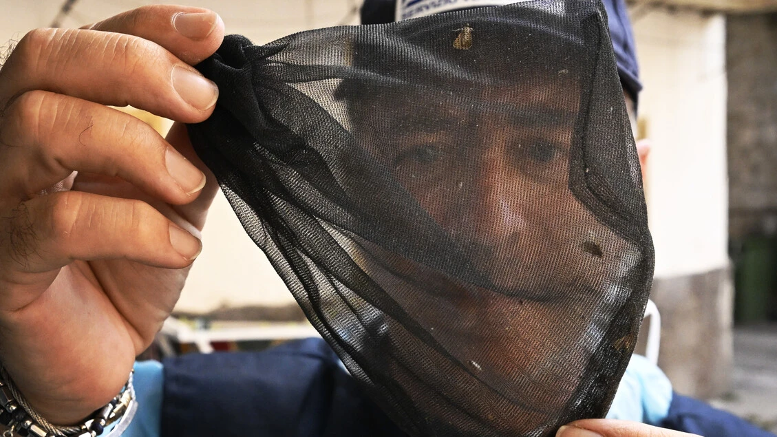 Schillaci, a oggi 145 casi notificati di West Nile con 12 decessi