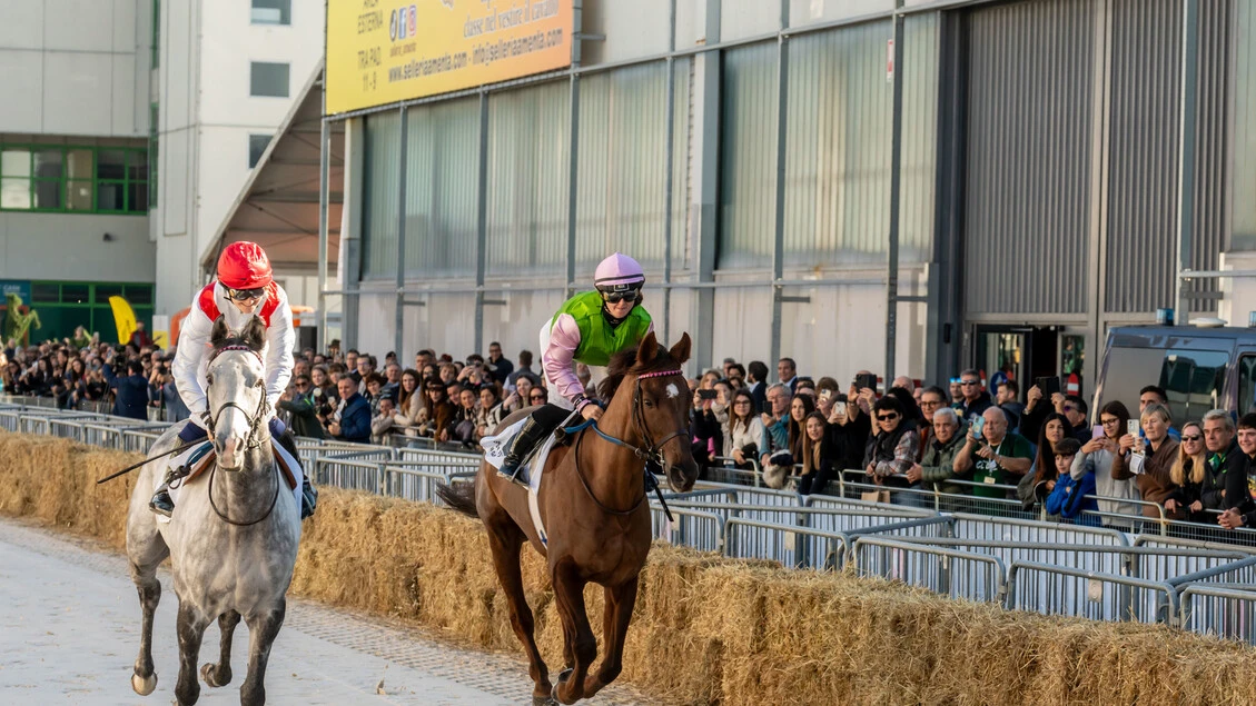 Fieracavalli chiude con oltre 140mila visitatori
