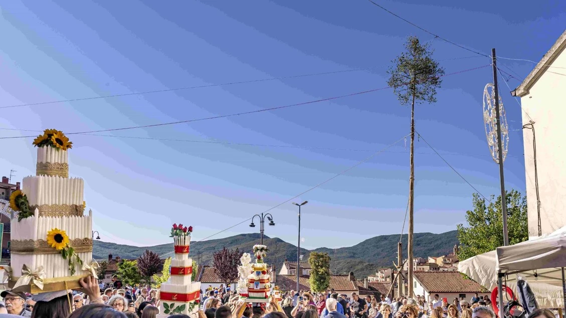 Buoi sulla folla, annullata la festa del Maggio di Accettura