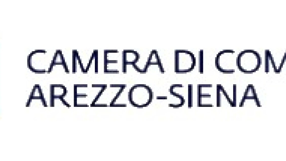 Pmi, da Cciaa Arezzo-Siena formazione contro digital divide