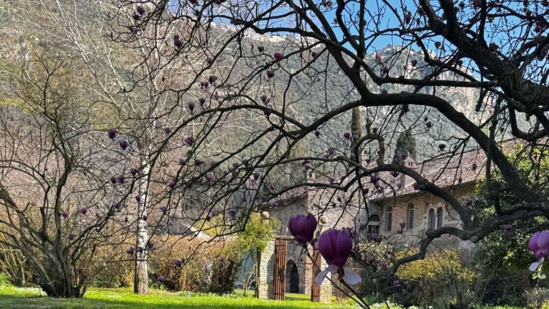 Fioritura nell'oasi delle meraviglie, riapre Giardino di Ninfa