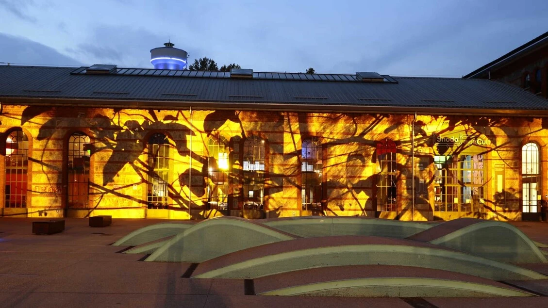 Torino accende le Luci d'Artista, quattro le nuove opere