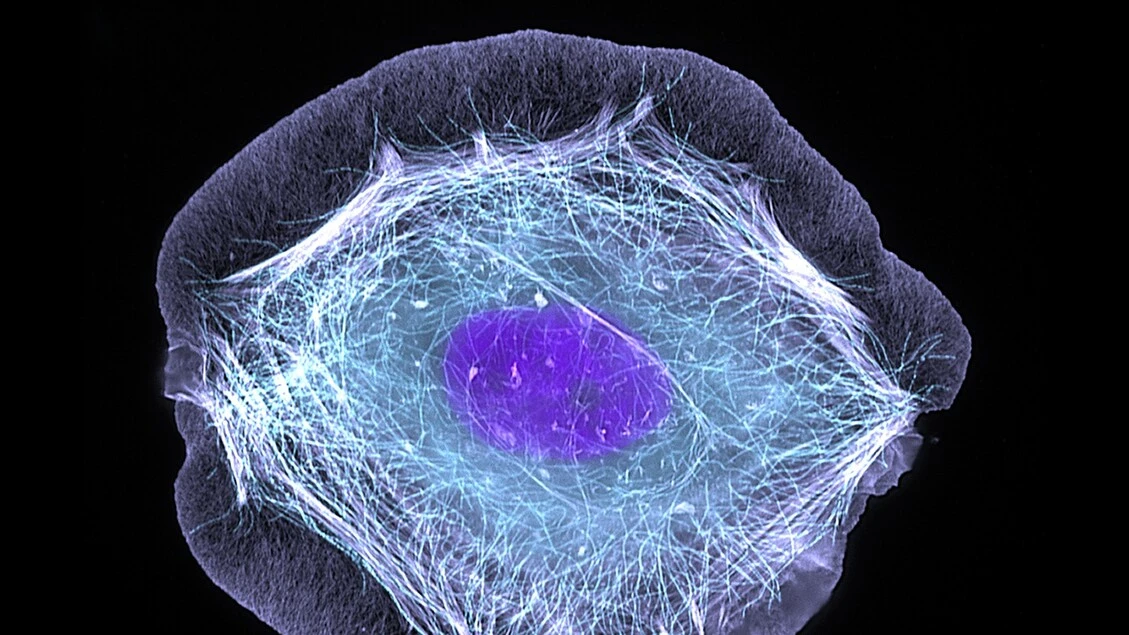 Scassinata la serratura delle cellule per introdurre farmaci