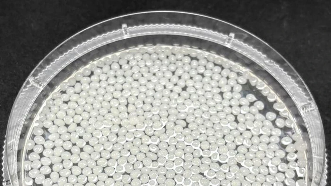Microsfere vegetali catturano i grassi nell'intestino VIDEO