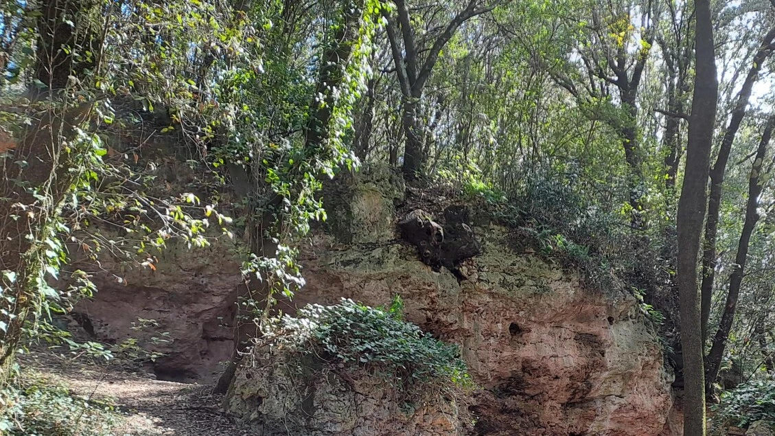 Donna scomparsa nel Torinese, sue le ossa in Val di Susa