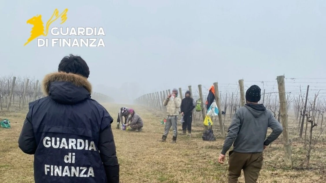 Ha impiegato 22 lavoratori in nero e 25 irregolari, sanzionato