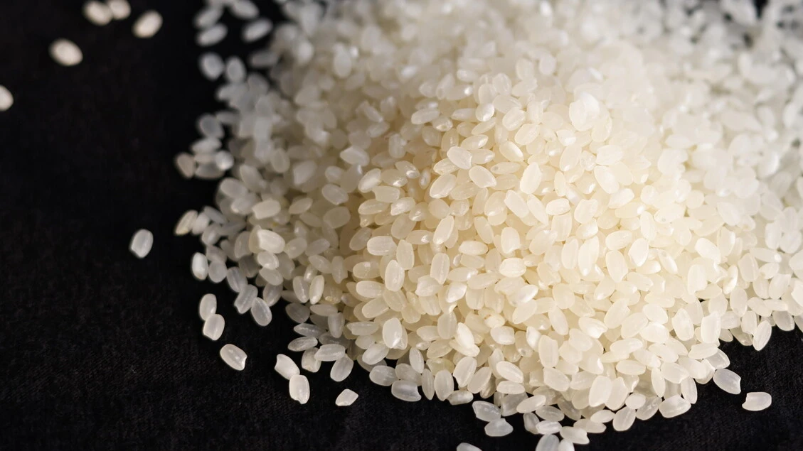 Coldiretti Vercelli-Biella, allarme crollo prezzi del riso